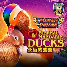 Power Prizes Eternal Mandarin Ducks brabet